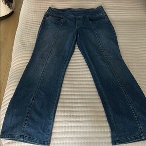 Kim Gravel Belle Stylish Indigo Women's Flare Jeans